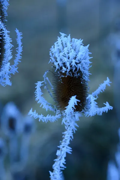 DSC_0968 (Large).JPG